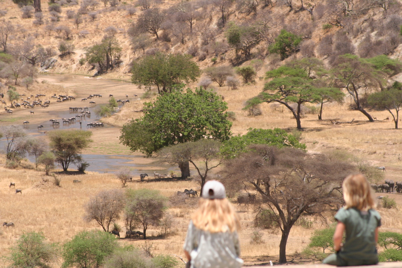 Children Experiencing a Safari