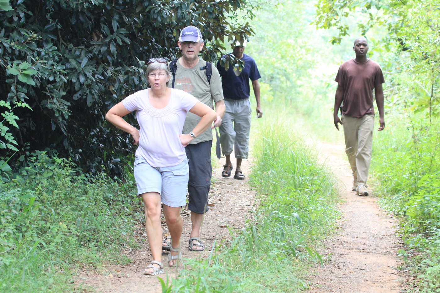 Walking Safari