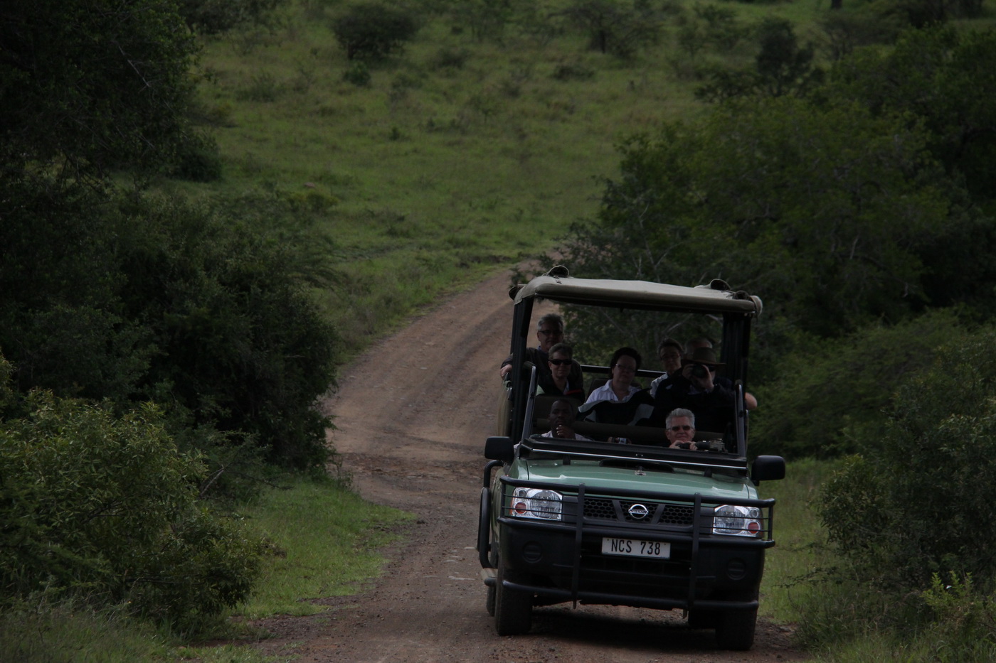 Guided Safari Drive