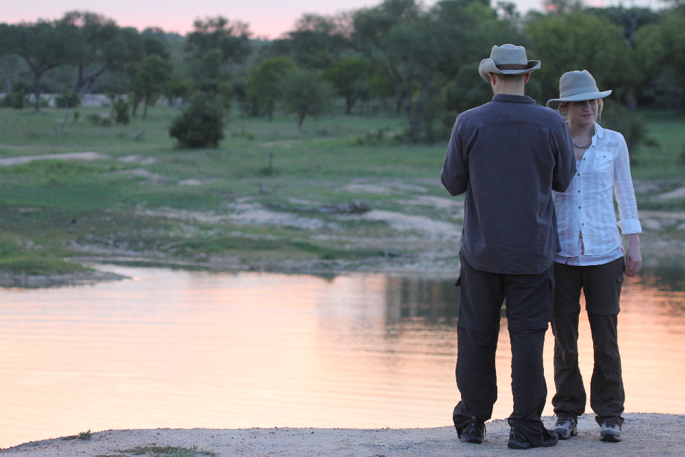 Honeymoon Safari Moment