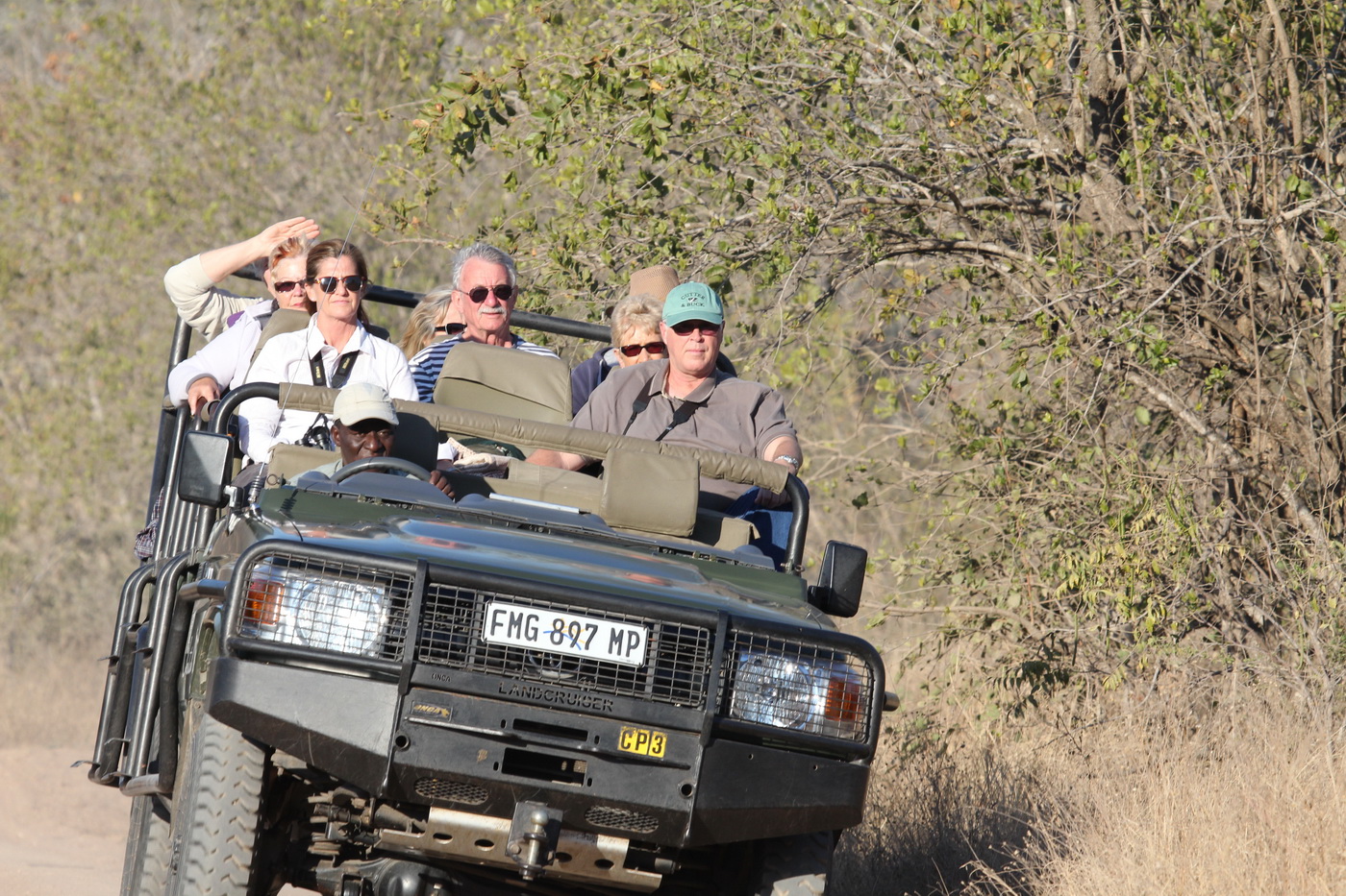 Out on a Safari Drive