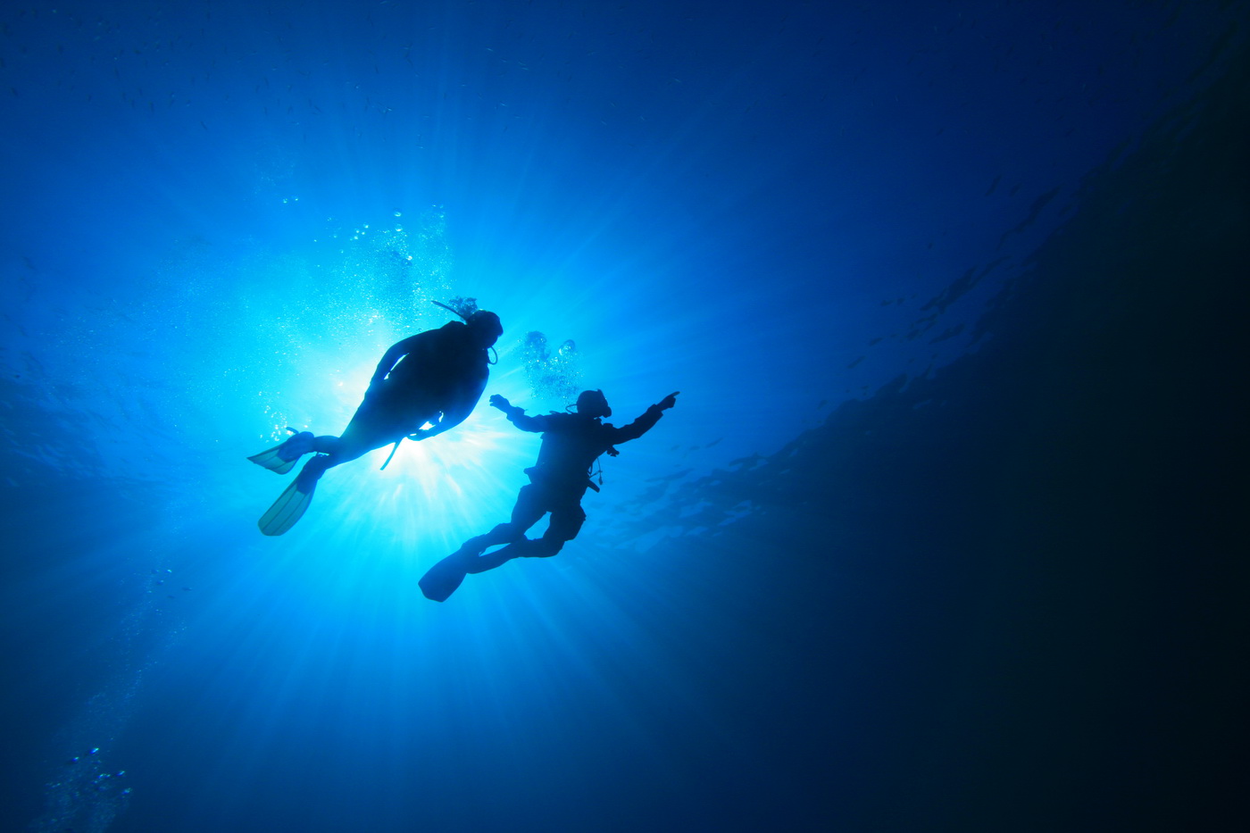 Scuba Diving on the African Rich Coastline