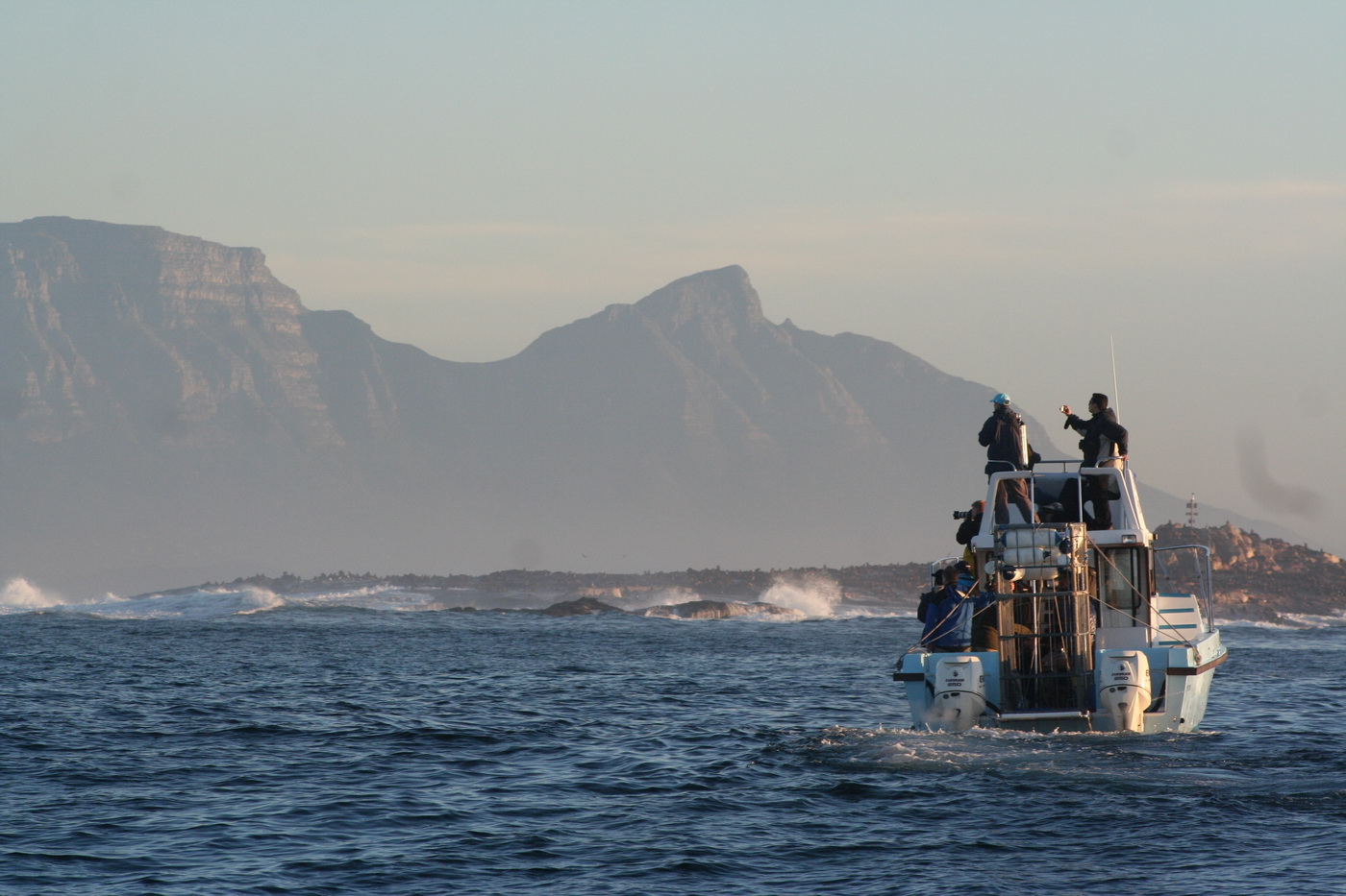 White Shark Observation Trips